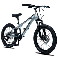 Imagem da oferta Bicicleta MTB KRW Aro 20 com câmbio 7 velocidades L20 Prata/Preto