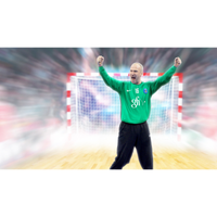 Imagem da oferta Jogo Handball 17 - PS4