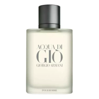 Imagem da oferta Armani Acqua Di Gio Perfume Masculino 100ml EDT