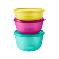 Imagem da oferta Conjunto de Tigelas de Plástico 3 Peças Tupperware Visual Colors