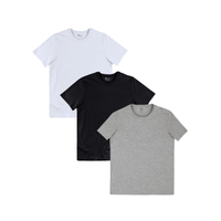 Imagem da oferta Kit Com 3 Camisetas Masculinas Básicas Hering