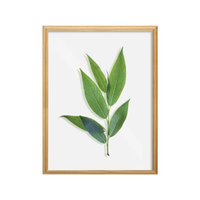 Imagem da oferta Quadro Decorativo Folhagens 225x325cm