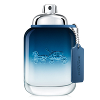 Imagem da oferta Perfume Blue Coach Masculino EDT