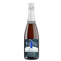 Imagem da oferta Vinho Espumante Brasileiro TERRANOVA Moscatel Garrafa 750ml