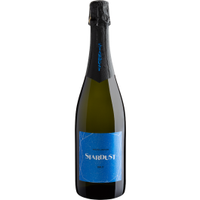 Imagem da oferta Espumante Bodega Putruele Stardust Brut 2021 750mL