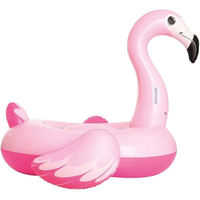 Imagem da oferta Boia Flamingo