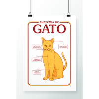 Imagem da oferta Poster Anatomia Do Gato