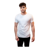 Imagem da oferta Camiseta Masculina Slim Fit Basica Algodão Egípcio Promoção