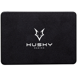 Imagem da oferta SSD 256 GB Husky Gaming 2.5" SATA III Leitura: 570MB/s e Gravação: 500MB/s Preto - HGML001