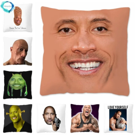 Sobrancelha meme dwayne the rock johnson capa de almofada 35x35 cm veludo  lance travesseiro caso decoração da sua casa cama escritório sofá fronha -  AliExpress