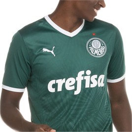 Por R$ 63,35: Camisa Palmeiras 22 Jersey Masculina