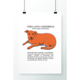 Imagem da oferta Poster Vira-Lata Caramelo