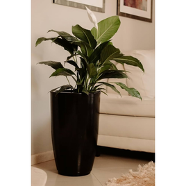 Imagem da oferta Vaso Grande Polietileno Para Plantas Marmorizado Brilhante Vietnamita N3 (Preto)