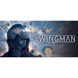 WingMan no Steam