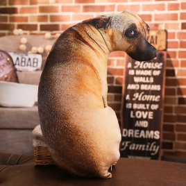 Almofada de Cachorro em Oferta