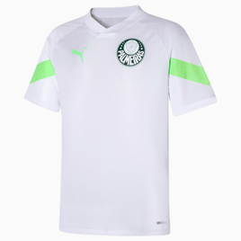 Imagem da oferta Camiseta de Treino Palmeiras Puma Torcedor - Masculino