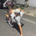 Avatar do membro Arthur