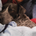 Avatar do membro BLz