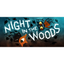 Imagem da oferta Night in the Woods