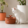 Imagem da oferta Fonte Bebedouro de Água para Cães e Gatos Bivolt Aqua Clay 360 2,5 Litros - Amicus