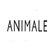 Logo da loja Animale